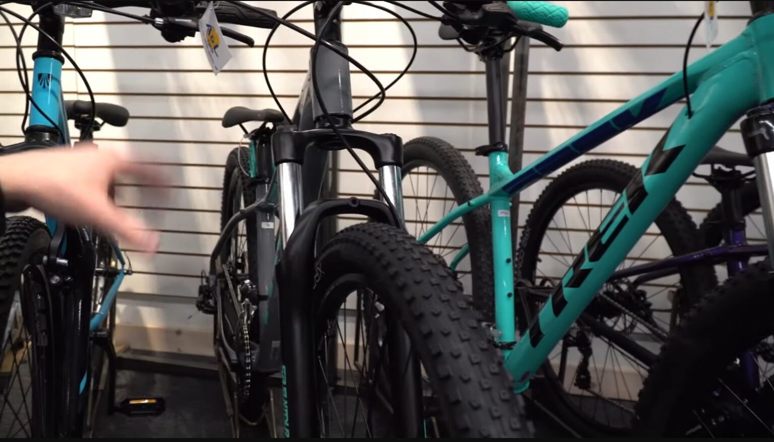 trek dual sport czy marlin