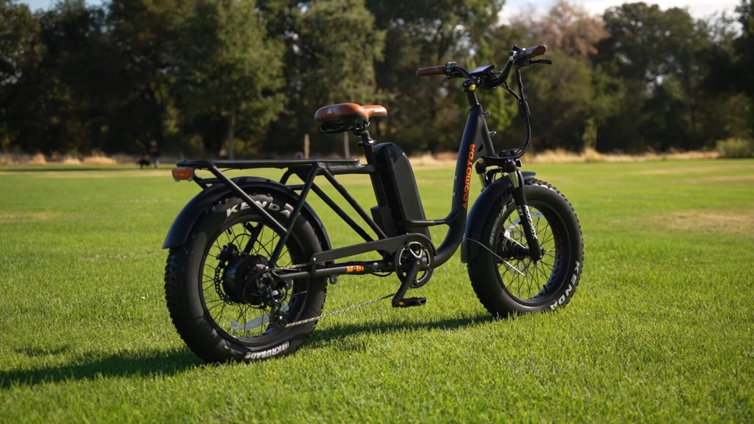 Addmotor M-81 a Unique Electric Cargo Bike - String Bike